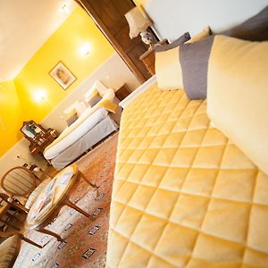 Superior Double Kamer